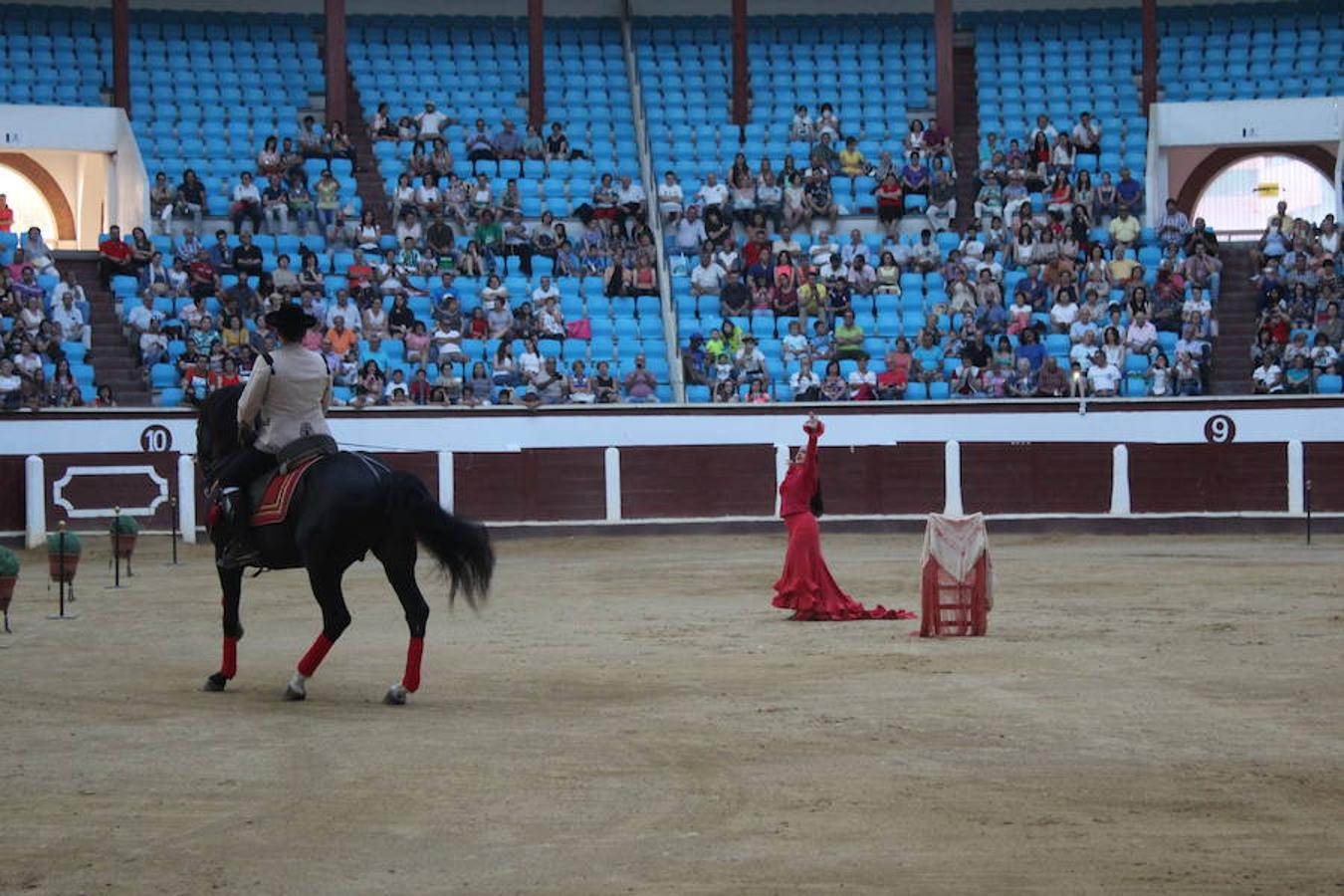 Los caballos y el flamenco
