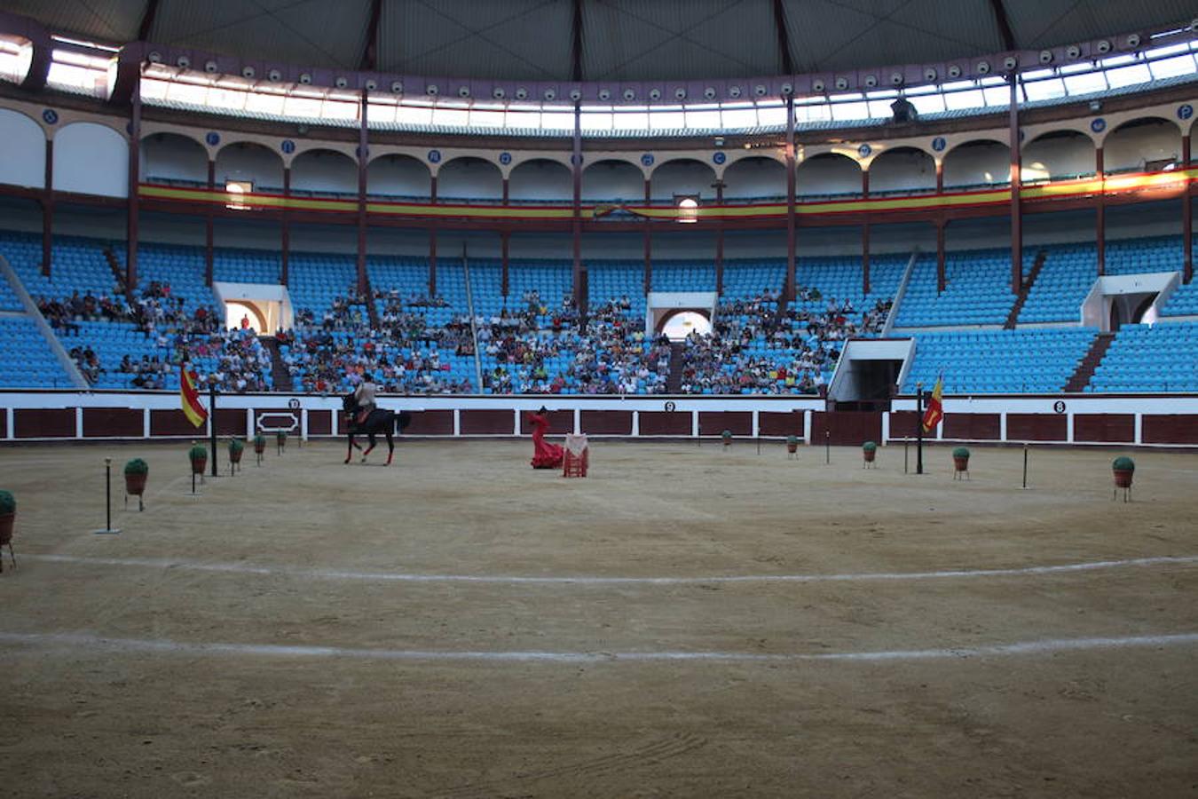 Los caballos y el flamenco