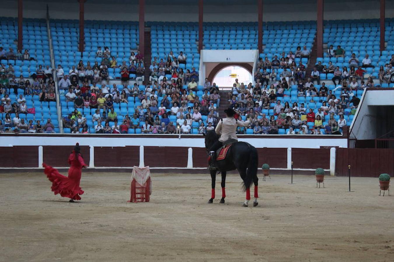 Los caballos y el flamenco