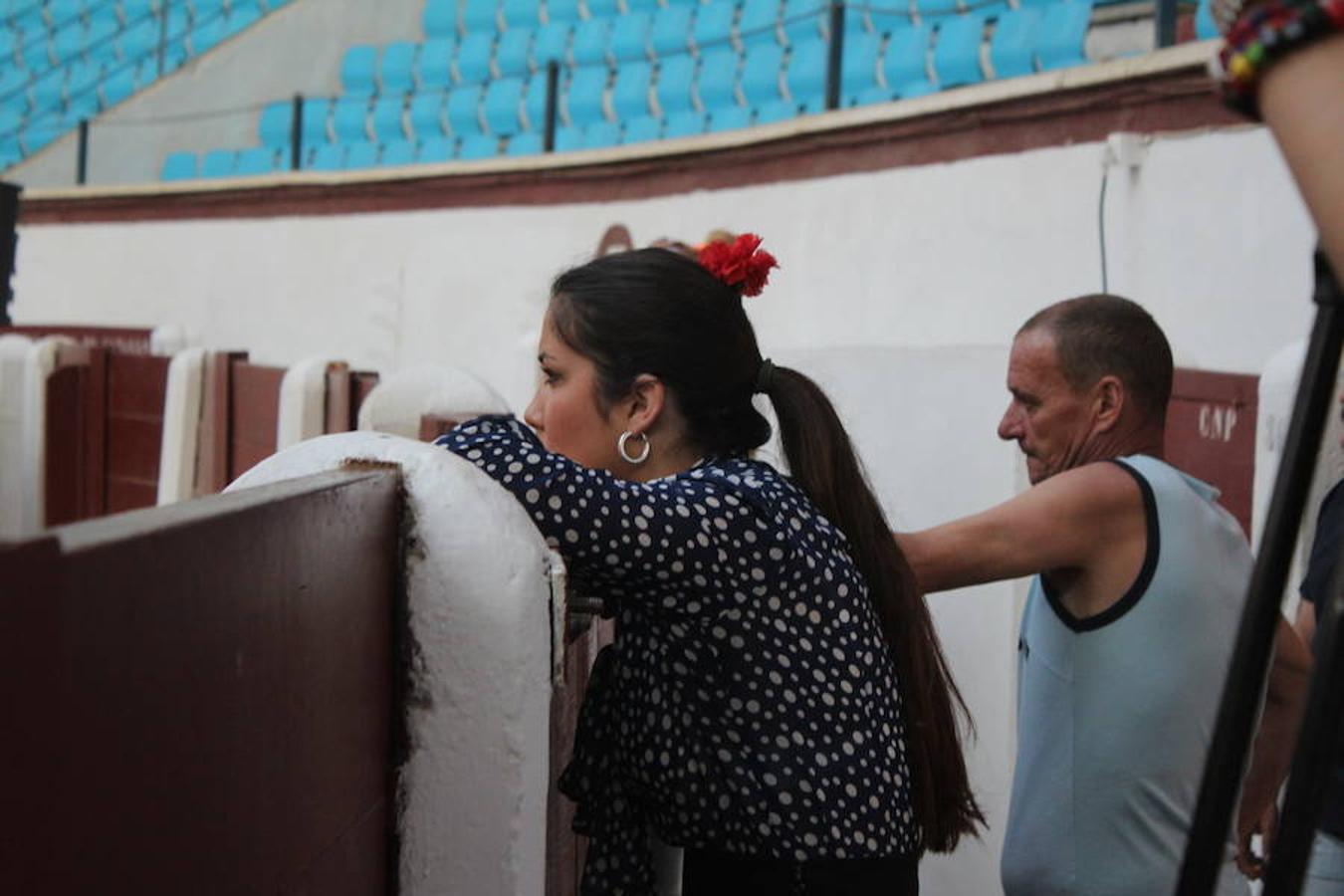 Los caballos y el flamenco