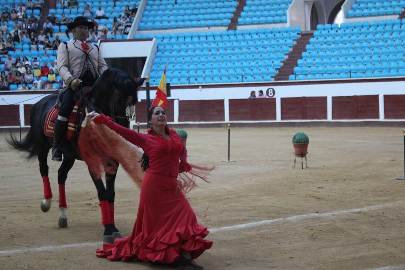 Los caballos y el flamenco