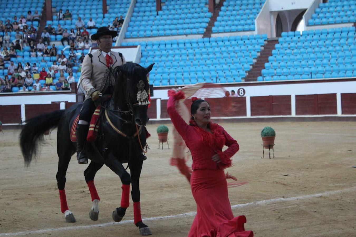 Los caballos y el flamenco