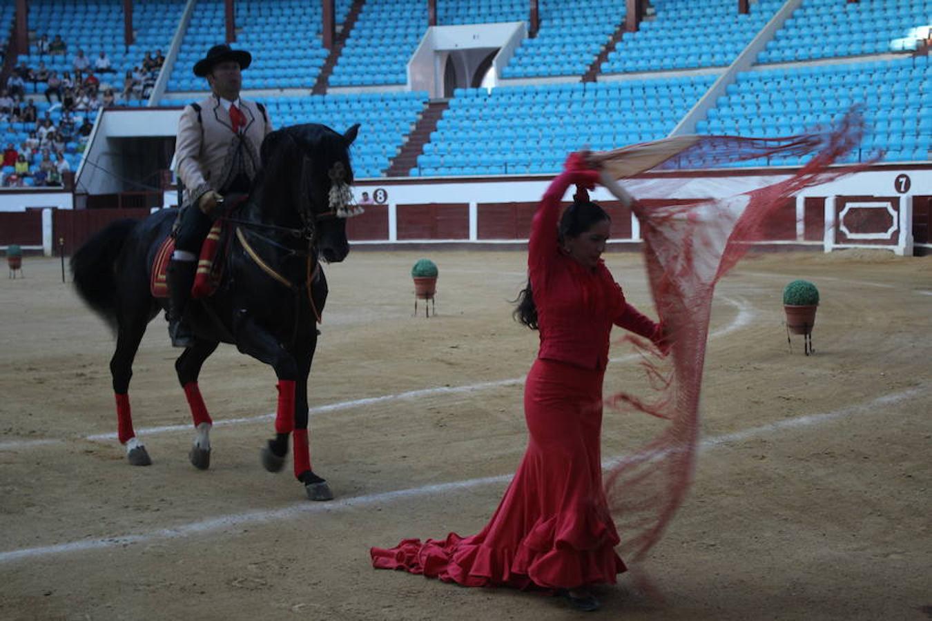 Los caballos y el flamenco