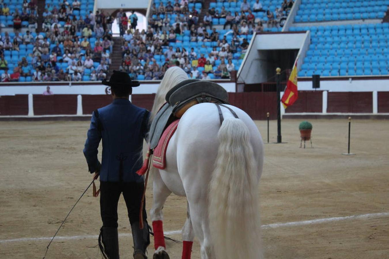 Los caballos y el flamenco