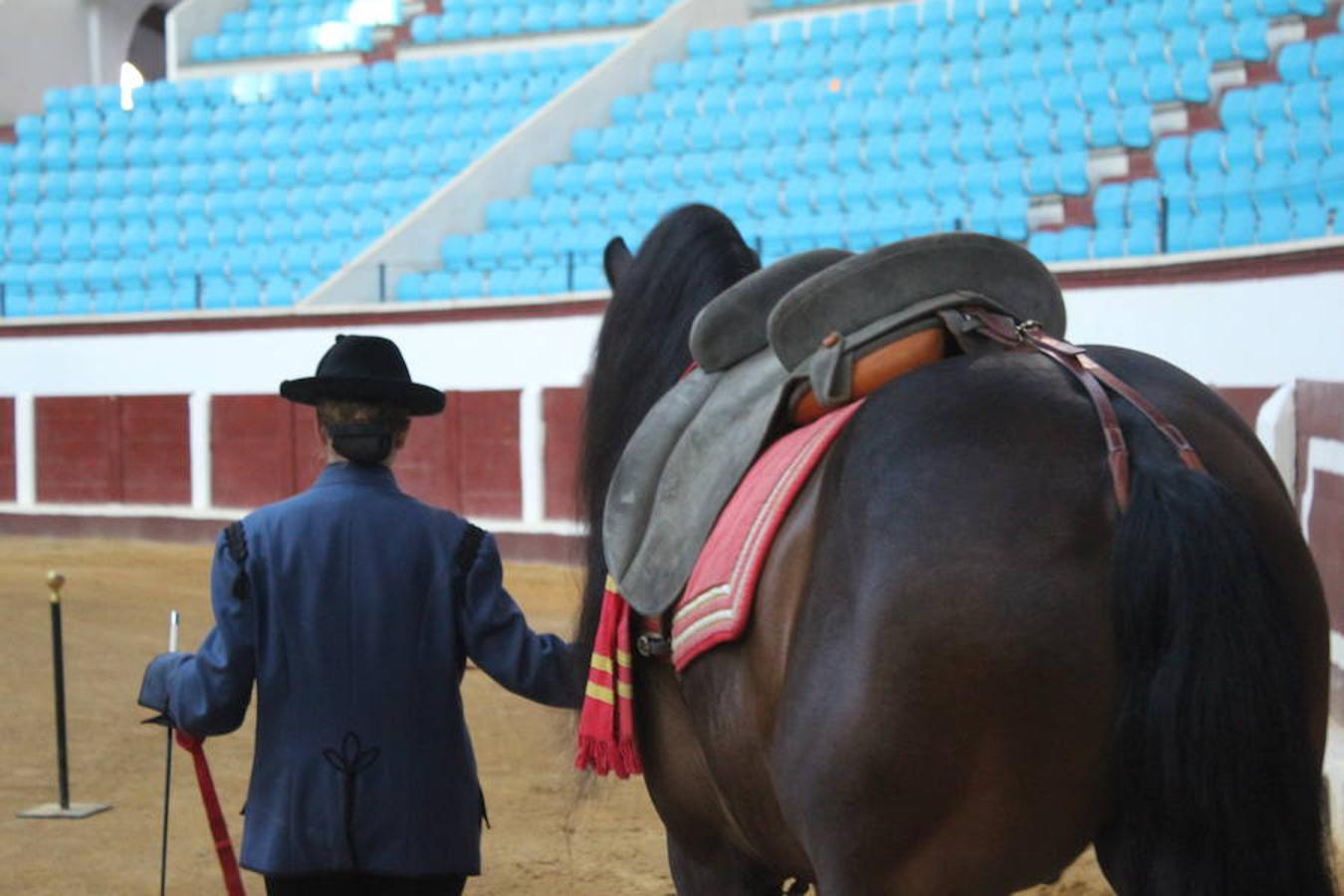 Los caballos y el flamenco