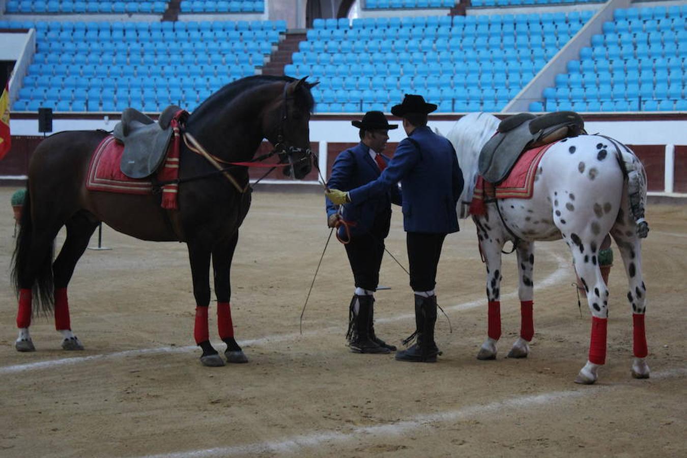 Los caballos y el flamenco