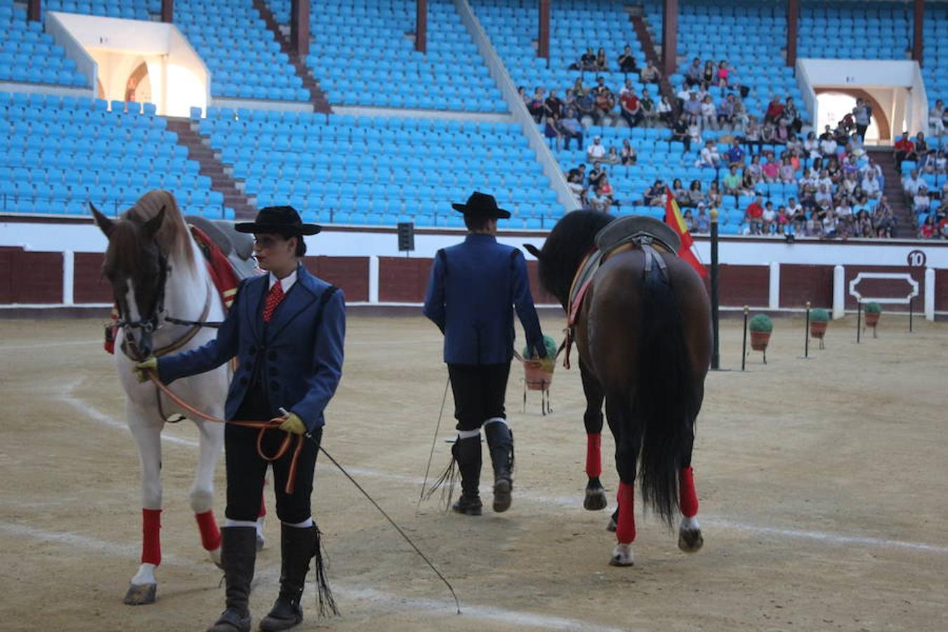 Los caballos y el flamenco