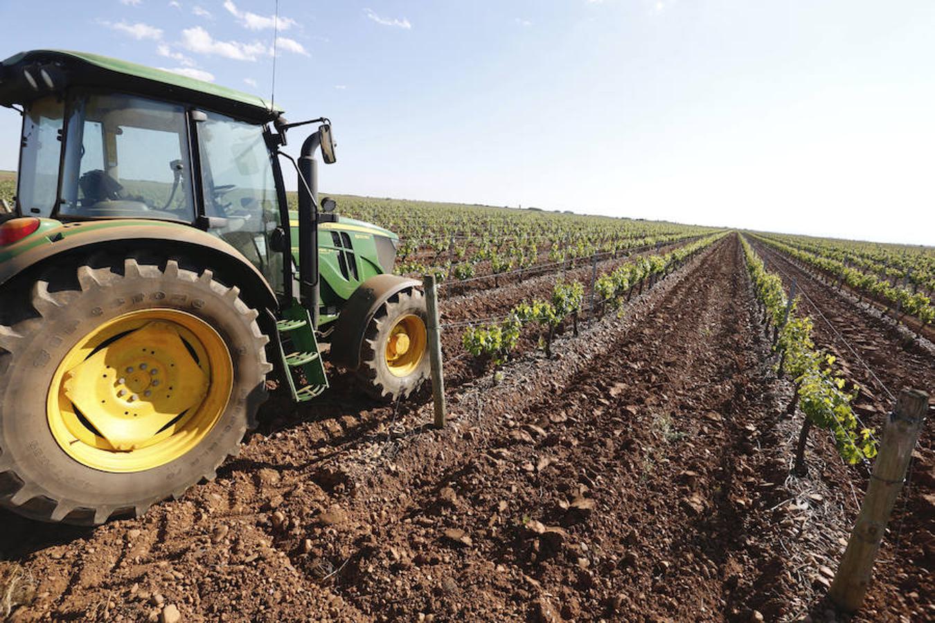 Una bodega que se expande