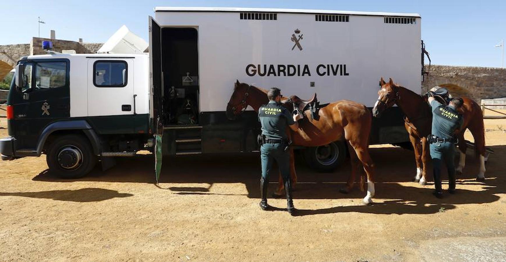 Un seguro para el Camino