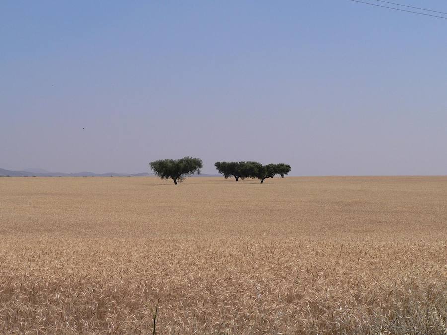 Baixo Alentejo