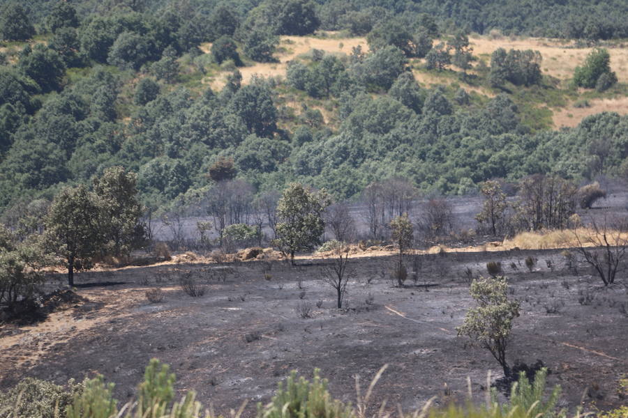 Vestigios tras el incendio