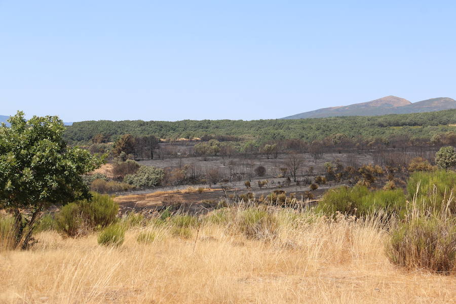 Vestigios tras el incendio