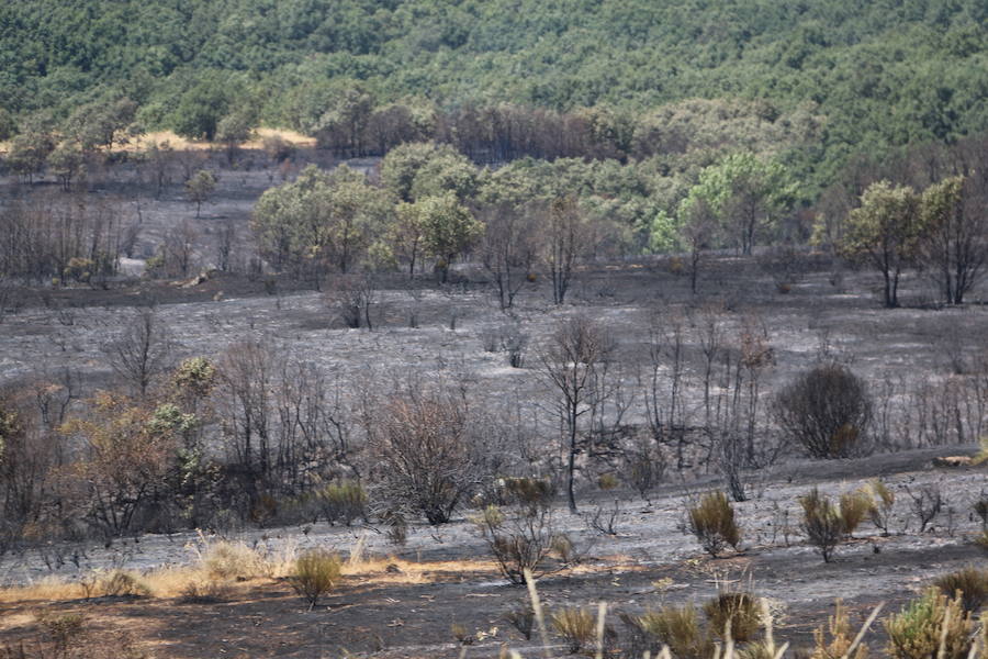 Vestigios tras el incendio