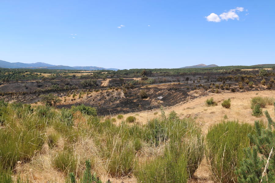 Vestigios tras el incendio