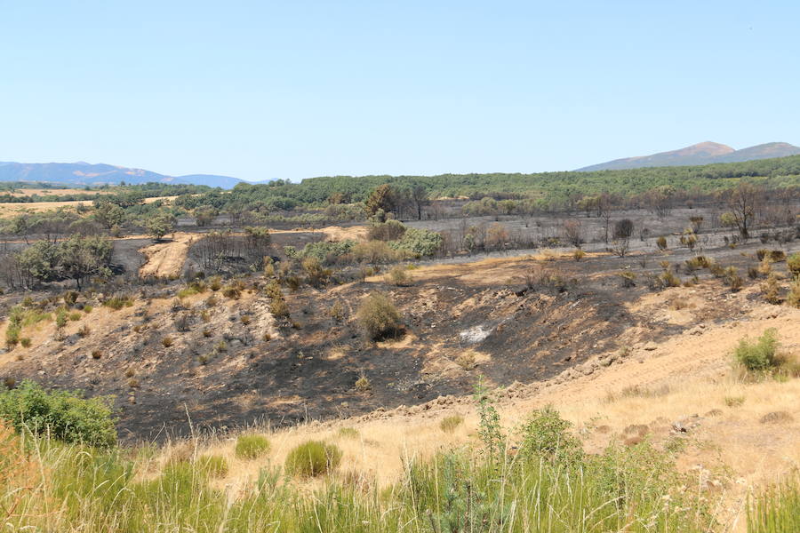 Vestigios tras el incendio