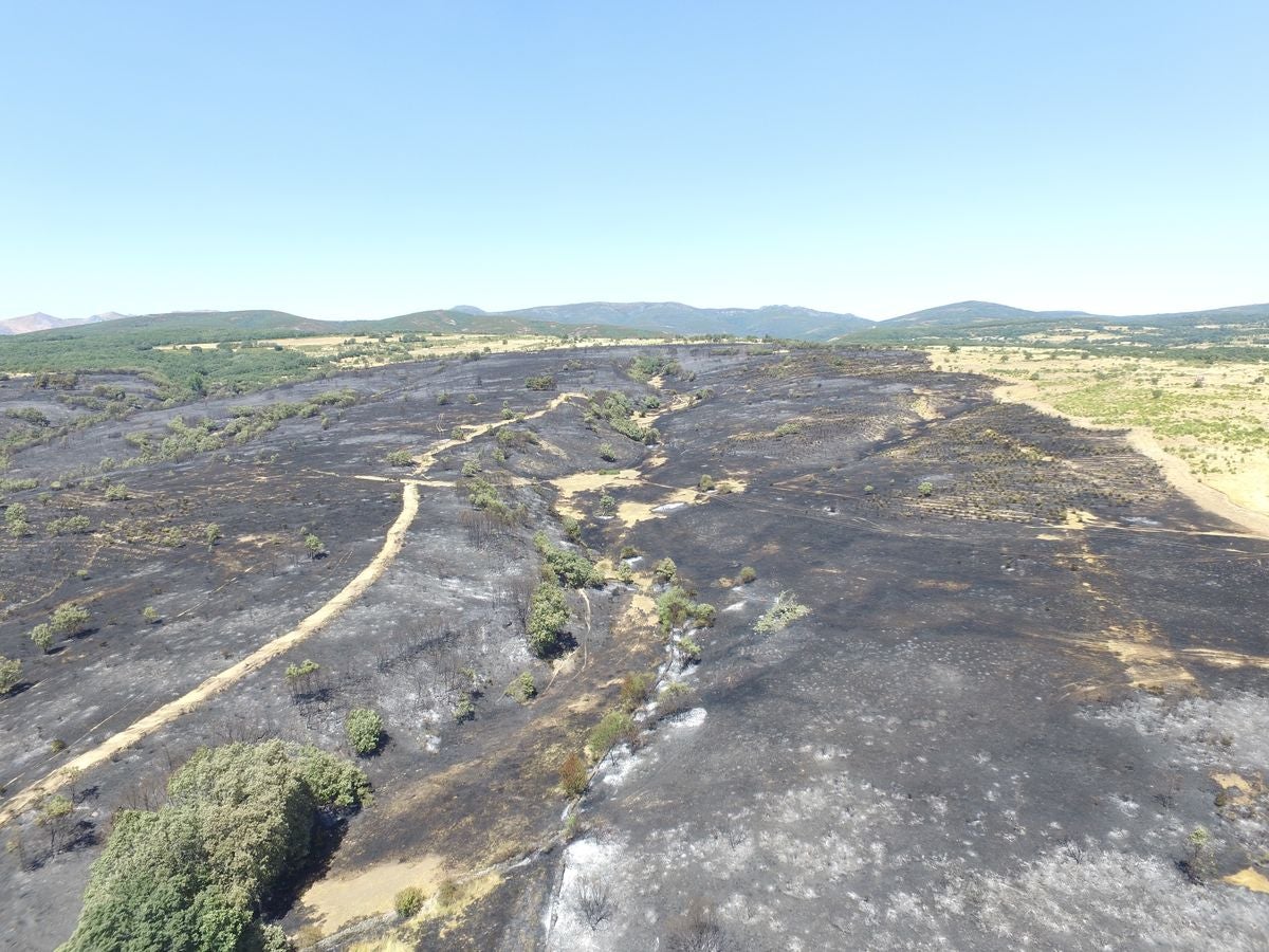 Vestigios tras el incendio