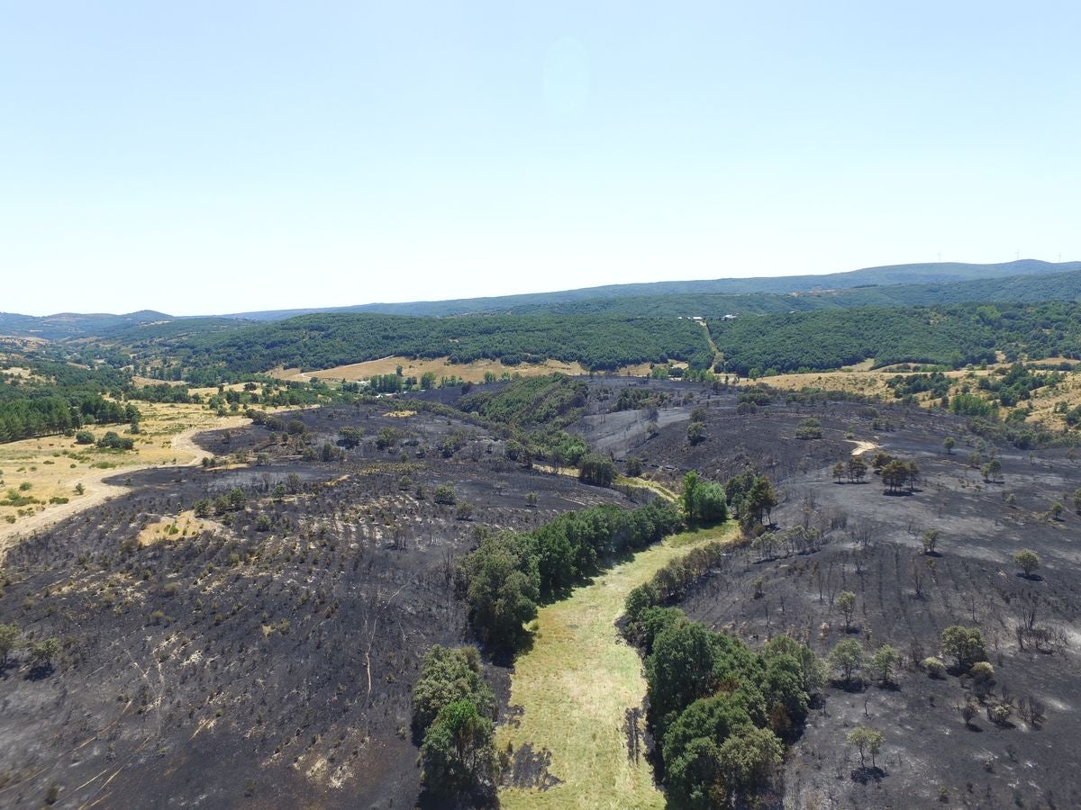 Vestigios tras el incendio