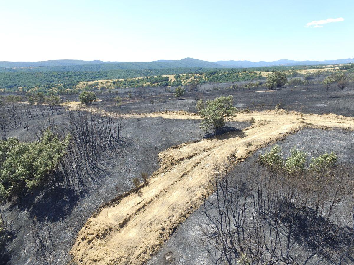 Vestigios tras el incendio