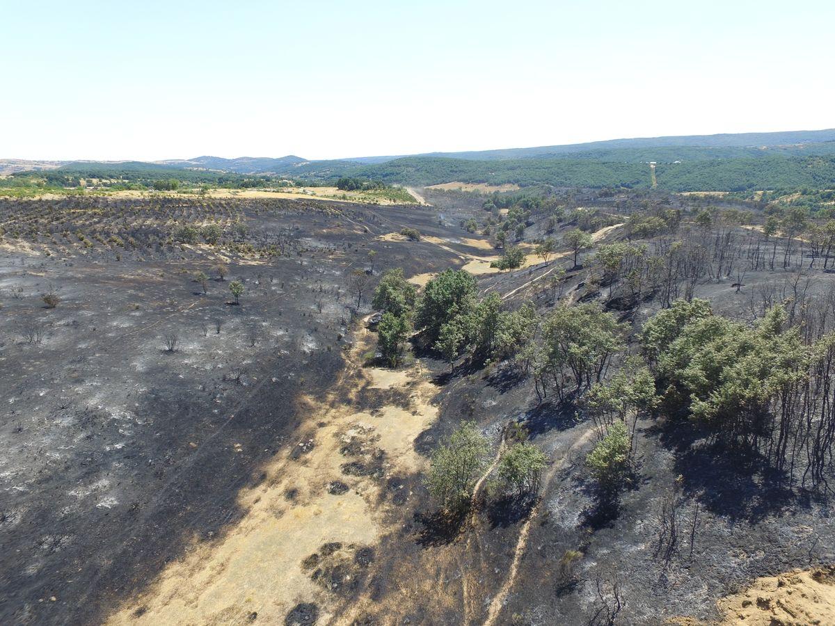 Vestigios tras el incendio