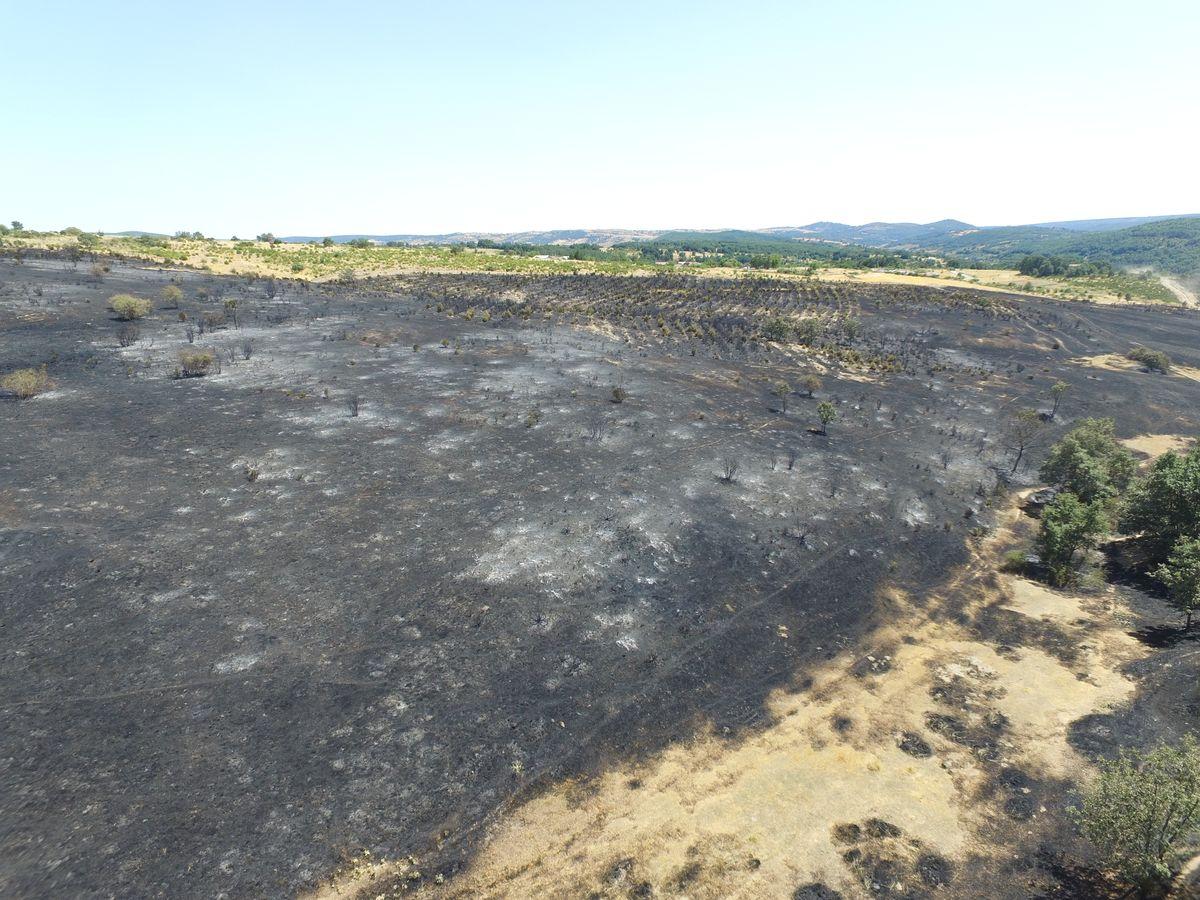 Vestigios tras el incendio