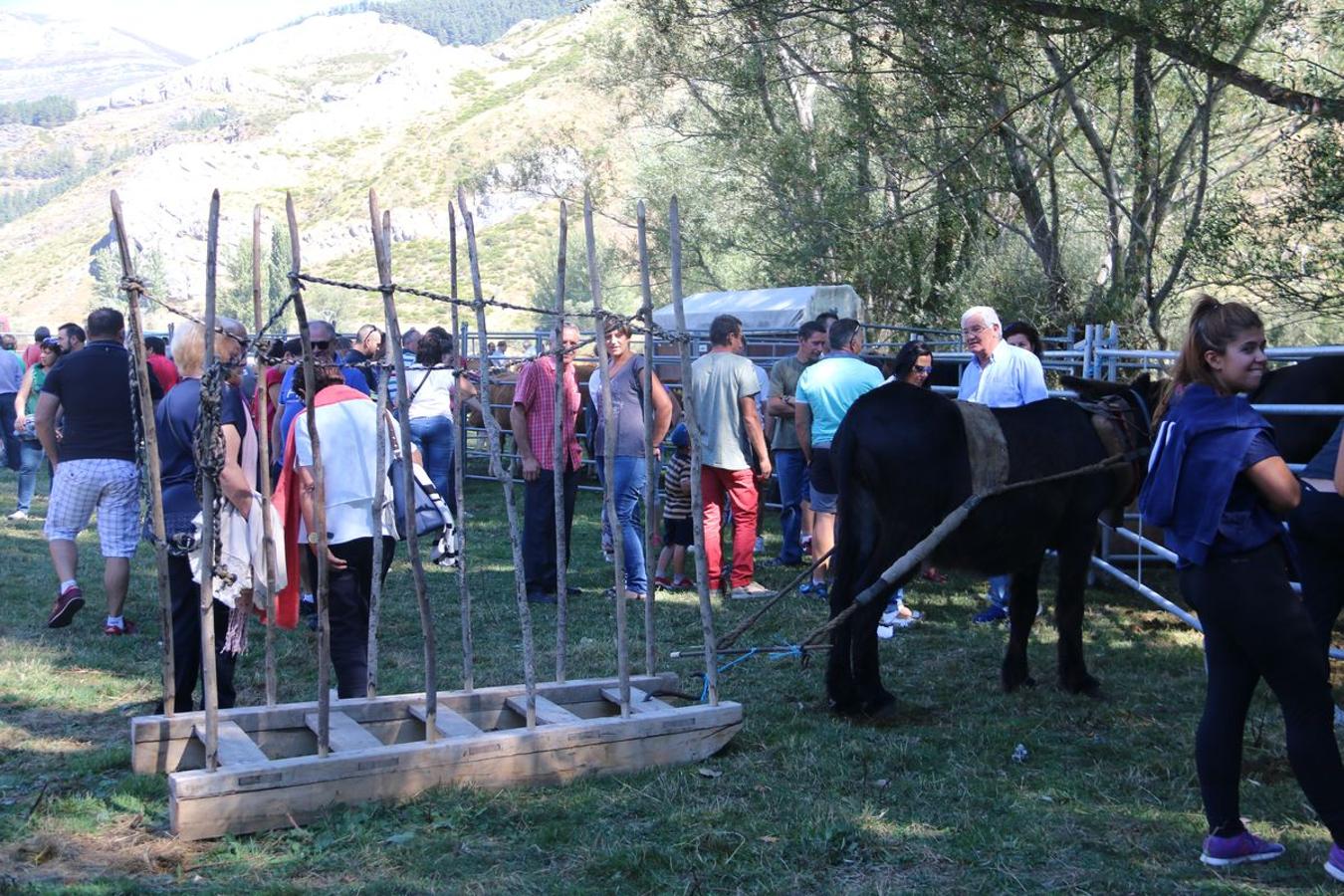 Tradición en Valdelugueros