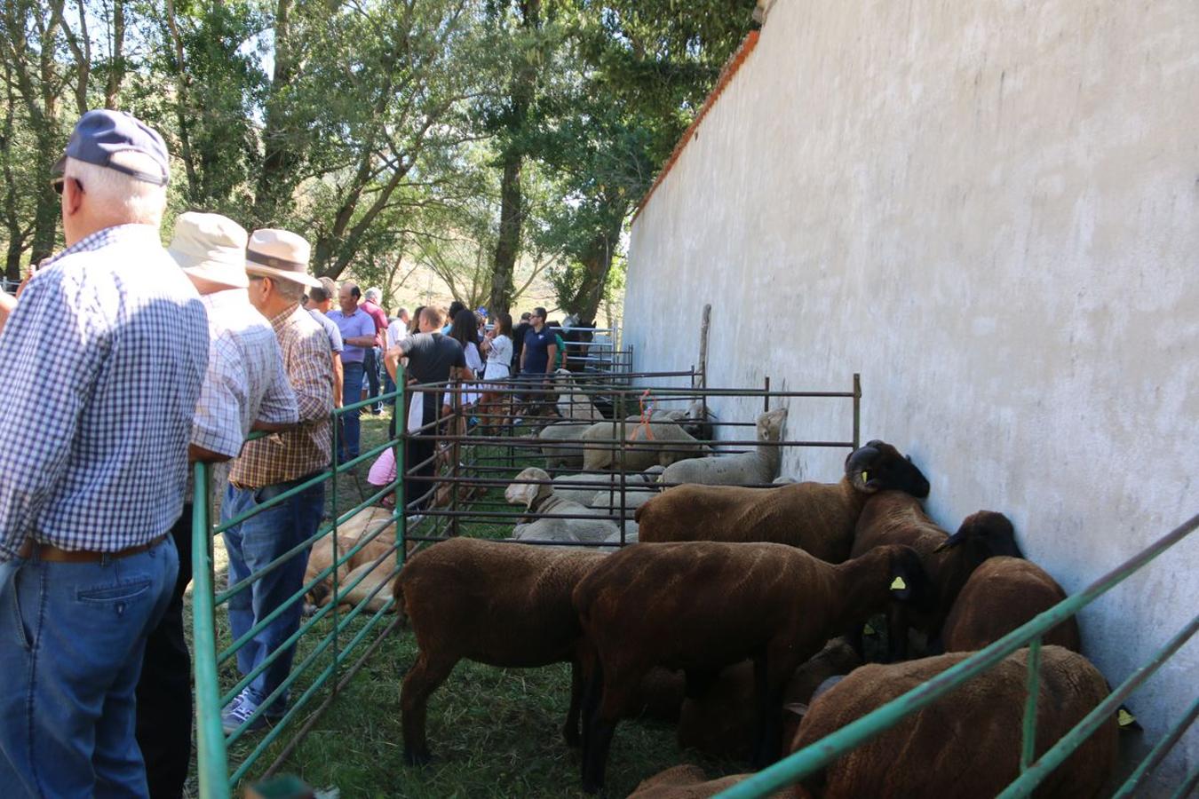 Tradición en Valdelugueros