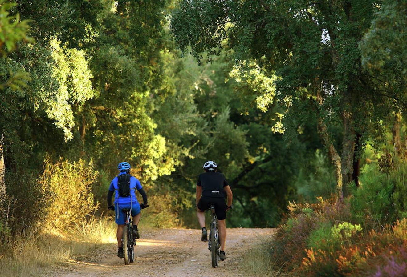 Descubre los secretos de El Alcornocal