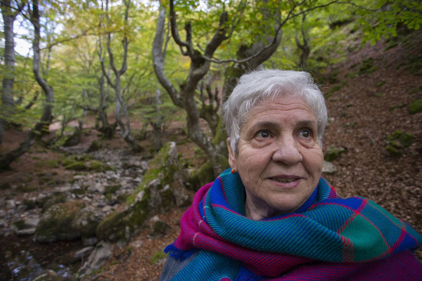 El Faedo, un cuento de hadas