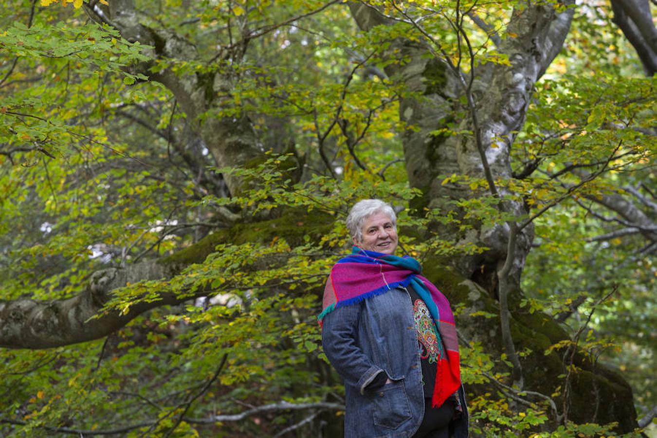 El Faedo, un cuento de hadas