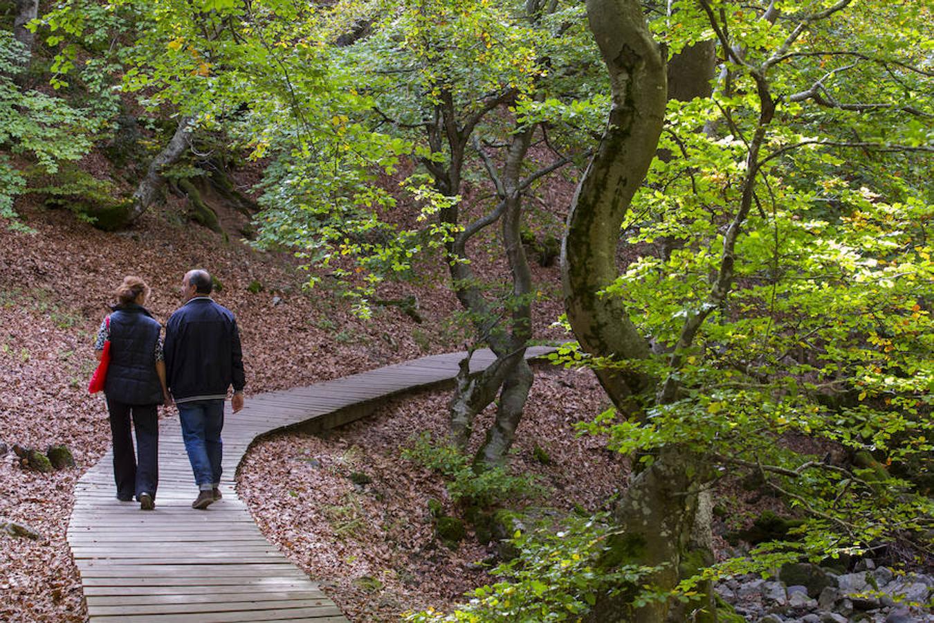 El Faedo, un cuento de hadas