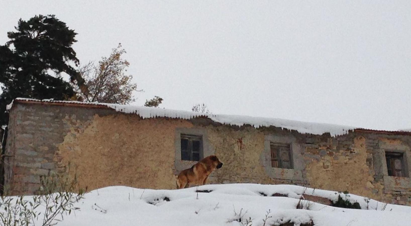 León, entre nieves