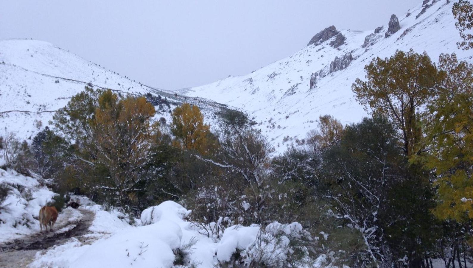 León, entre nieves