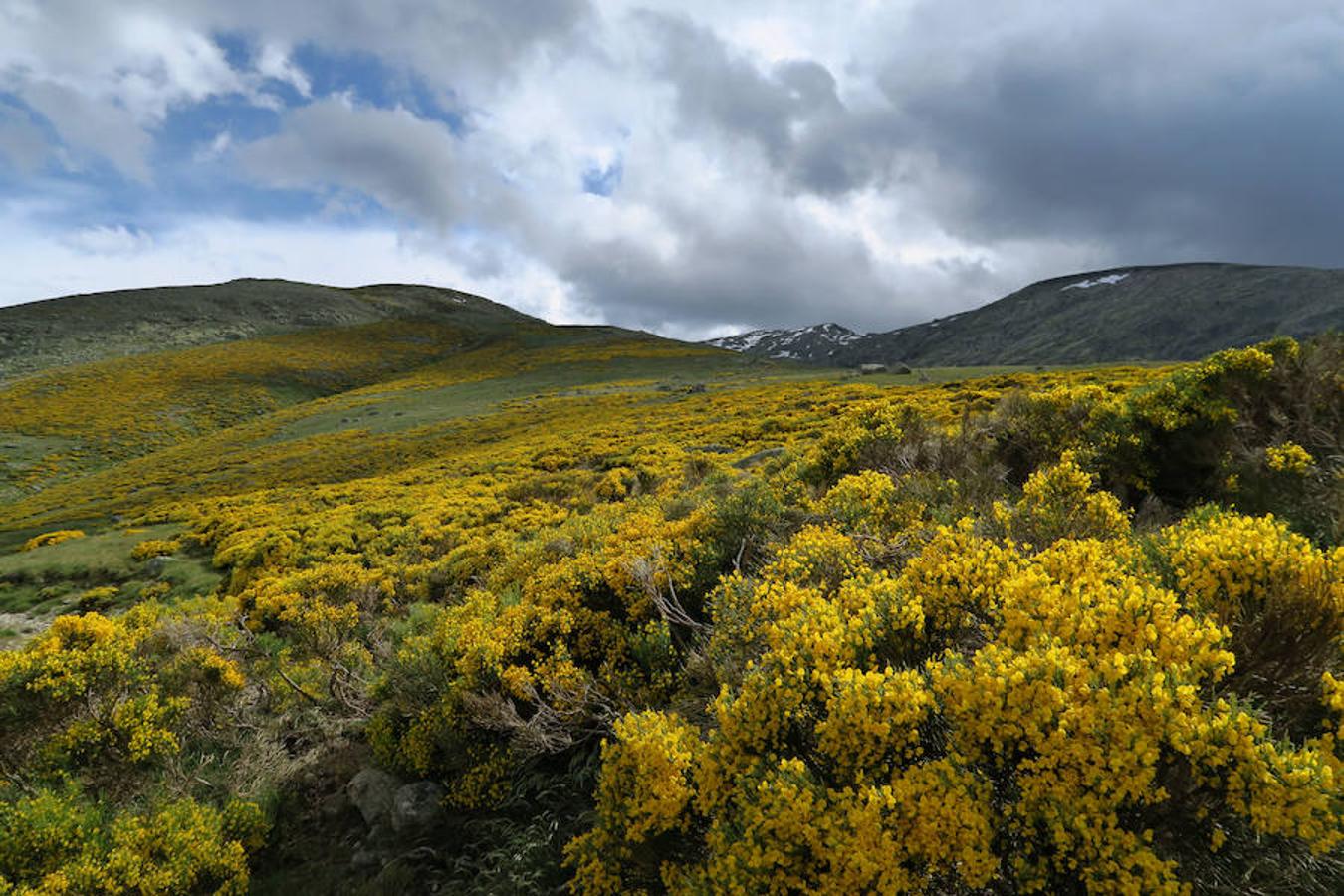 Gredos insólito