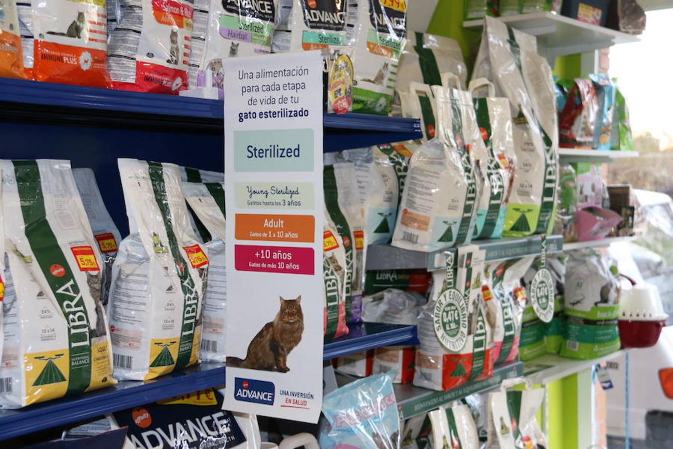 Presumidogs, el cuidado más coqueto