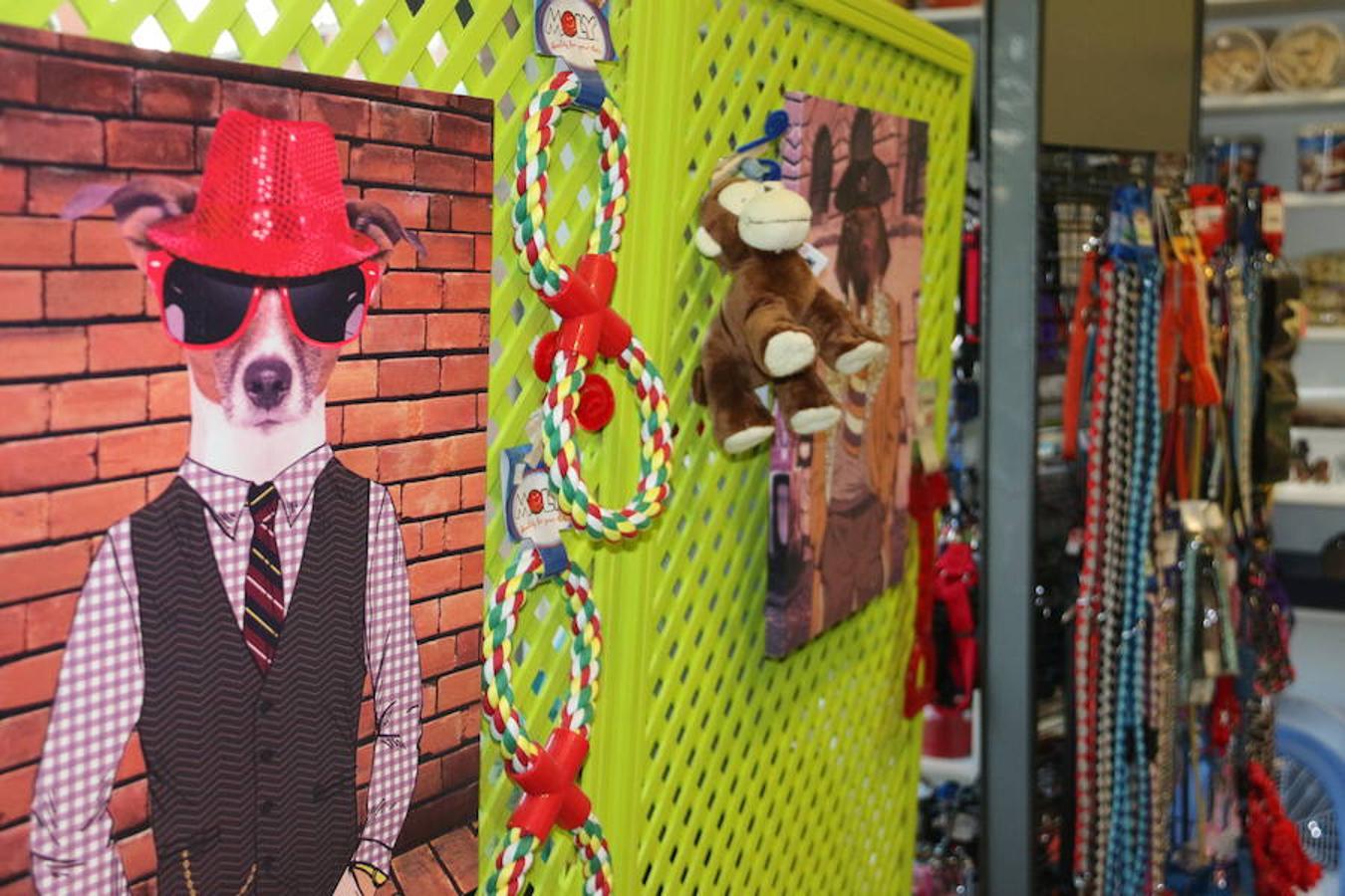 Presumidogs, el cuidado más coqueto