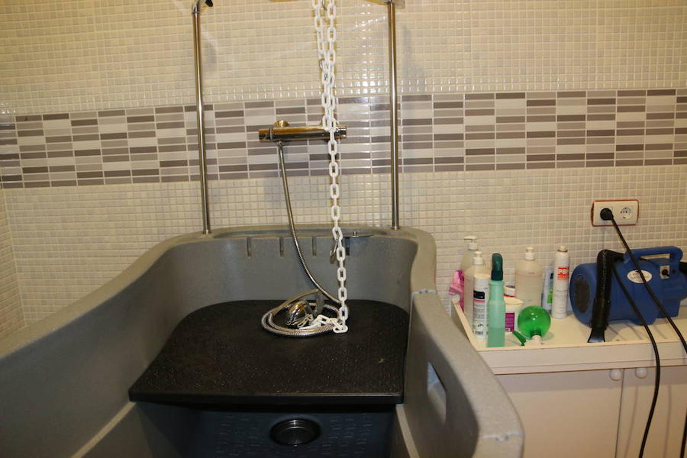 Presumidogs, el cuidado más coqueto