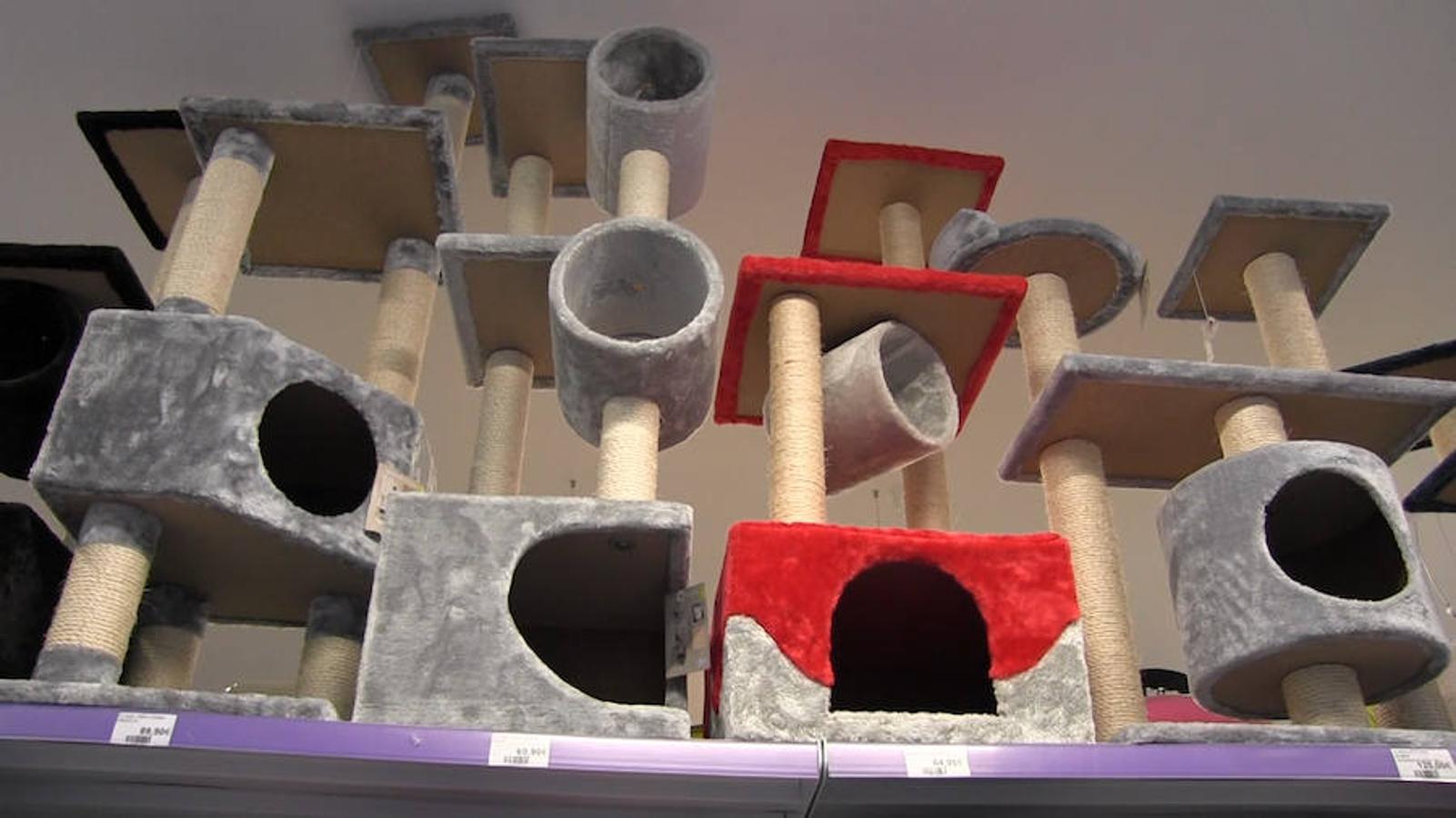 Todo para las mascotas