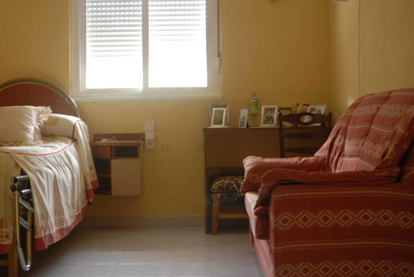 Fiestas y celebraciones en San Carlos