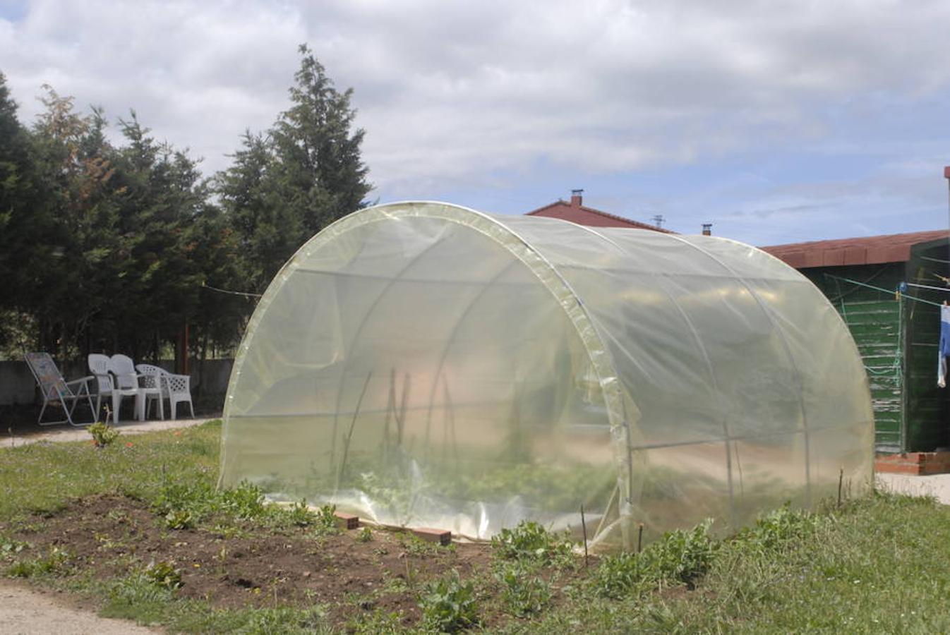 Fiestas y celebraciones en San Carlos