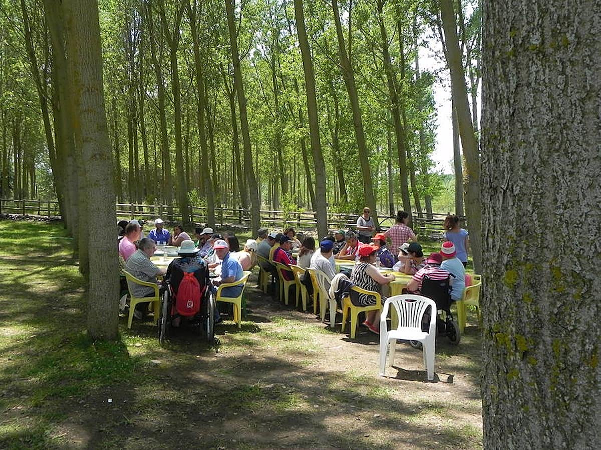 Fiestas y celebraciones en San Carlos