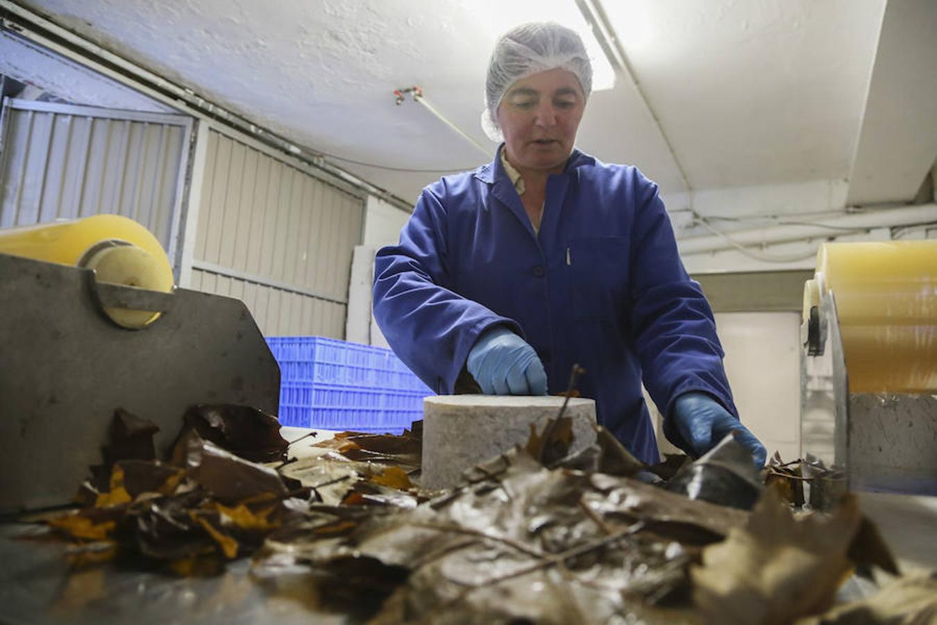 Picos (increíbles) de Europa