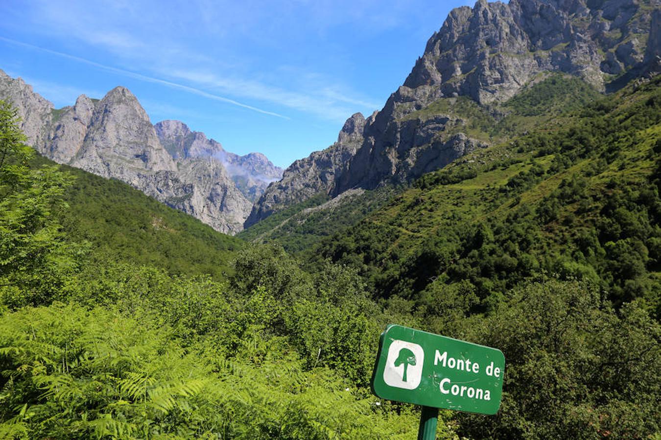 Picos (increíbles) de Europa