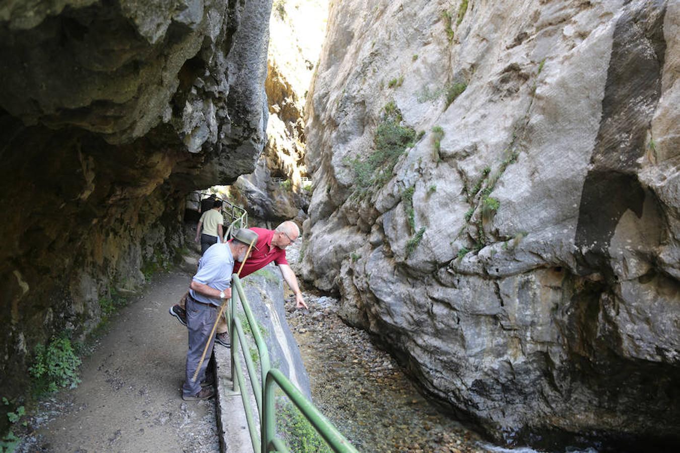 Picos (increíbles) de Europa