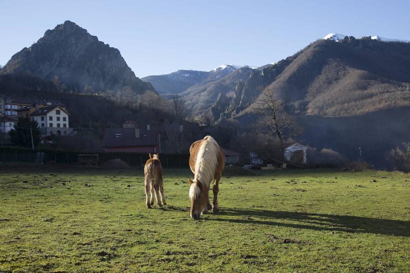 Picos (increíbles) de Europa