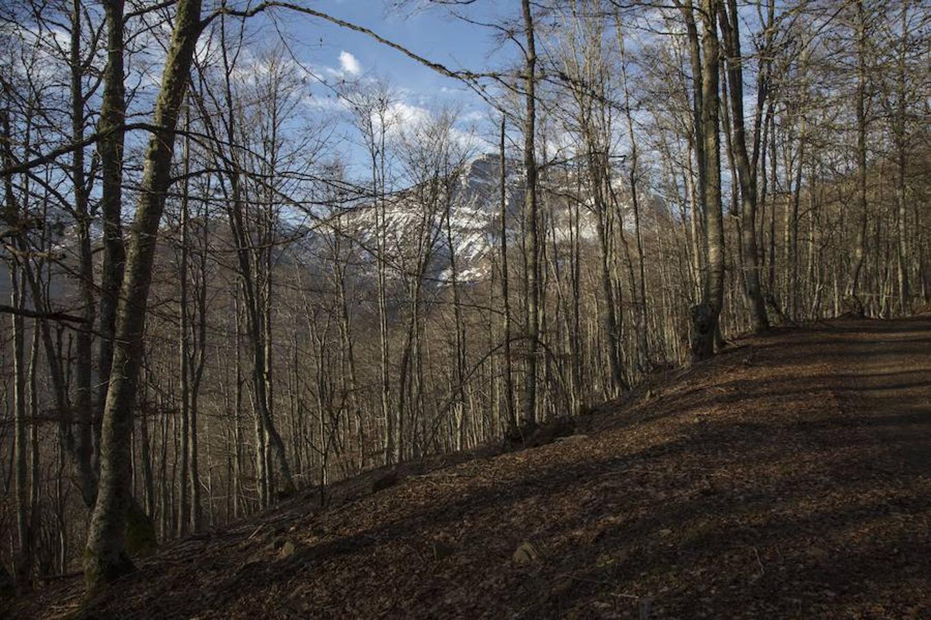 Picos (increíbles) de Europa