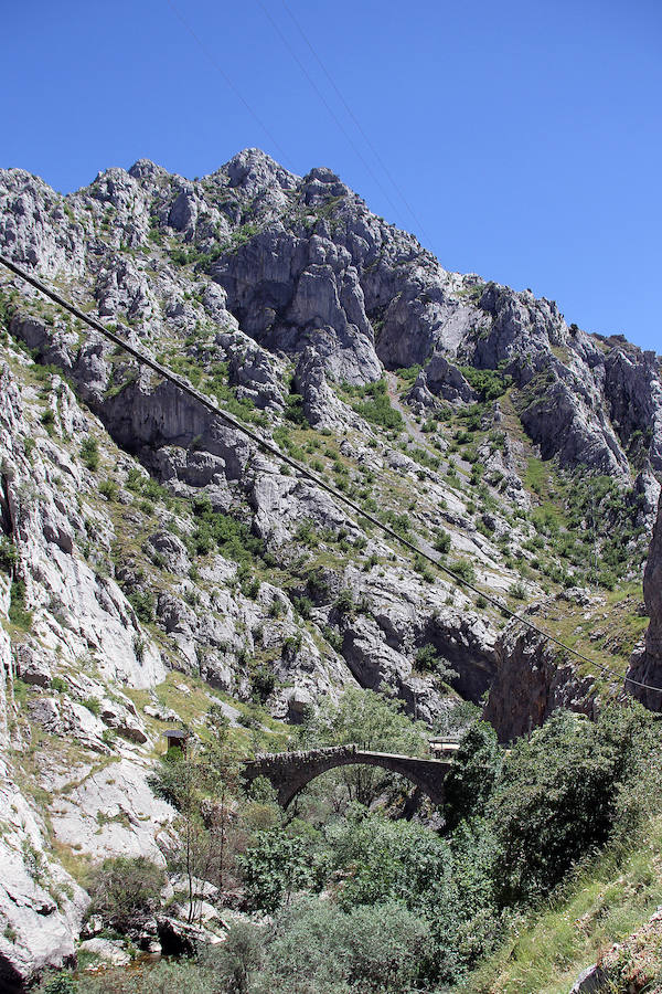 De puente a puente