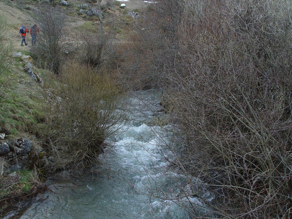 Subida al Pico Susarón