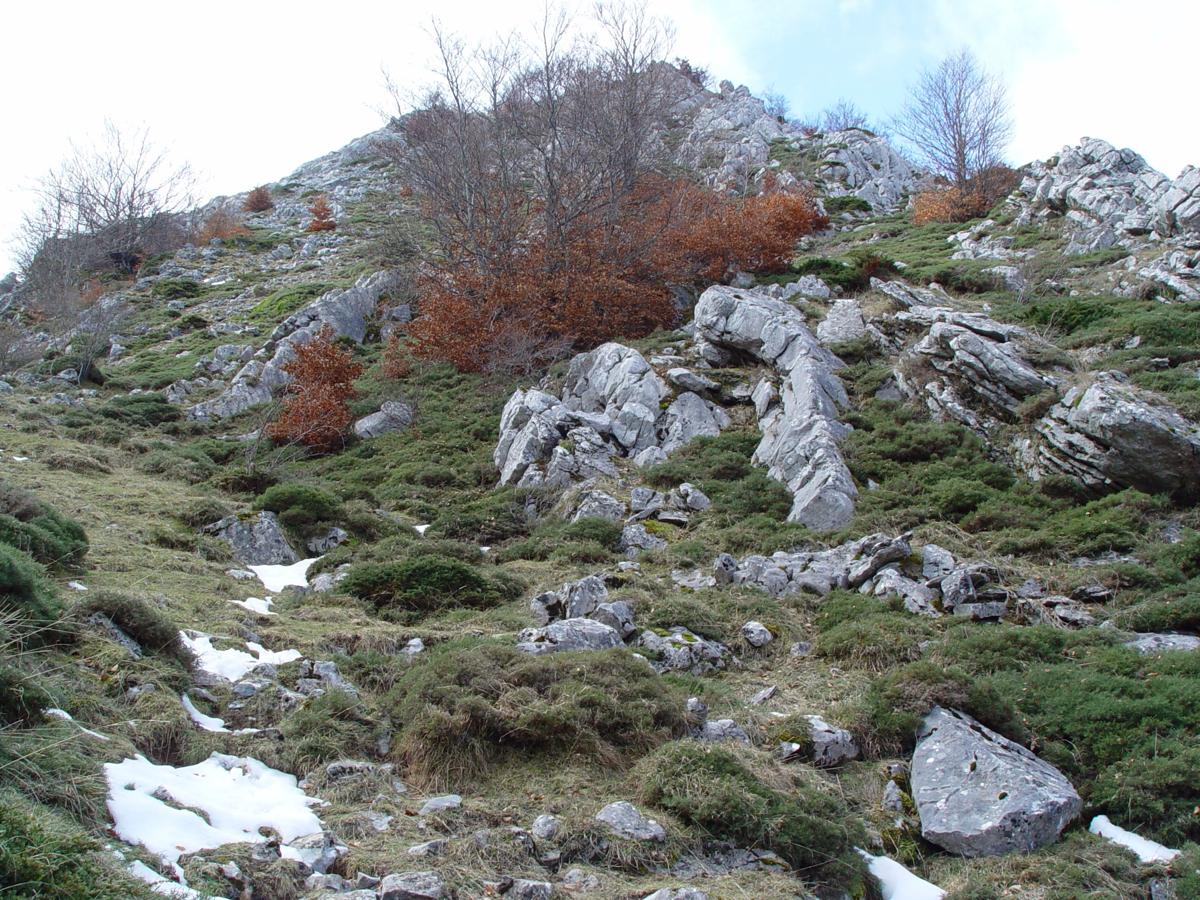 Subida al Pico Susarón