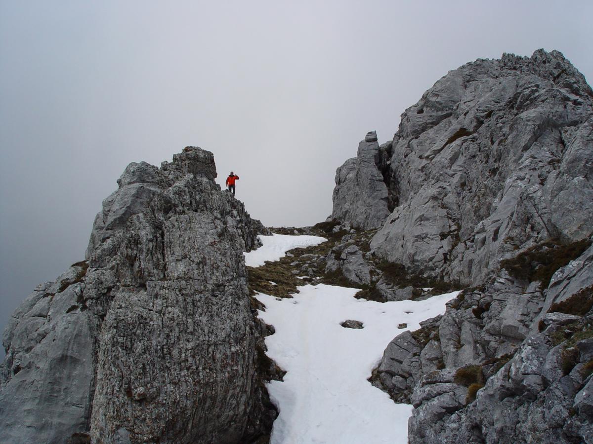 Subida al Pico Susarón