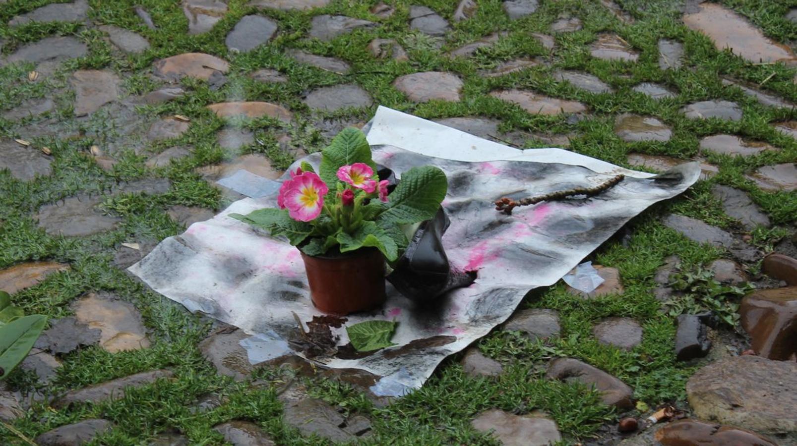 Flores reivindicativas